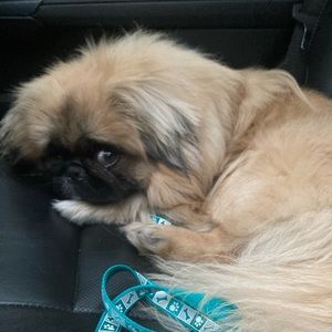 Meet your Posher, Achilles